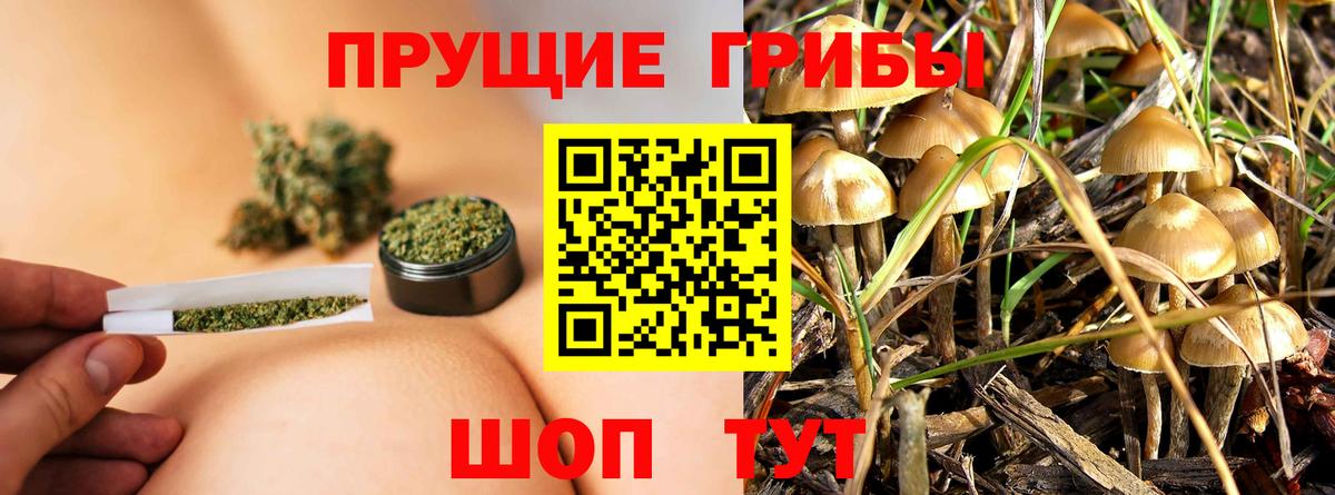 Галлюциногенные грибы Psilocybe  Галлюциногенные грибы прущие грибы  даркнет сайт  Качканар  Вход с VPN 