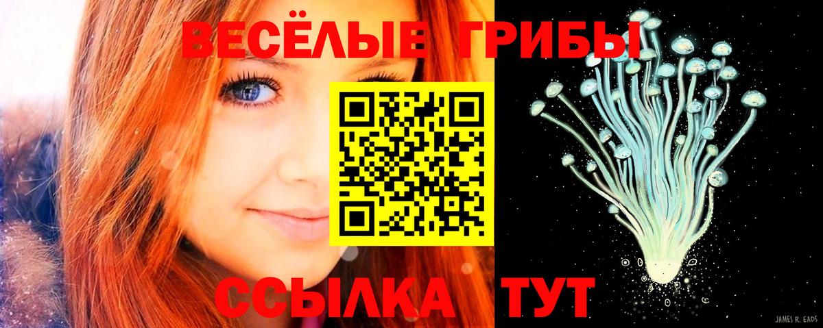 Псилоцибиновые грибы Psilocybe Качканар